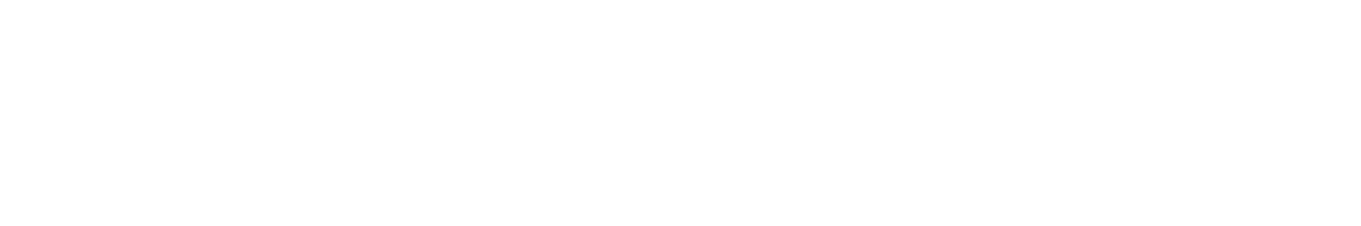 Search.info.in search engine logo